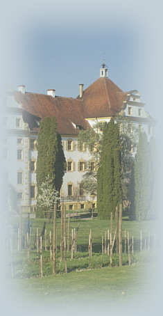 Plan des Klosters Salem