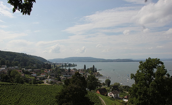 Schweizer Seeufer zwischen Mannenbach und Berlingen