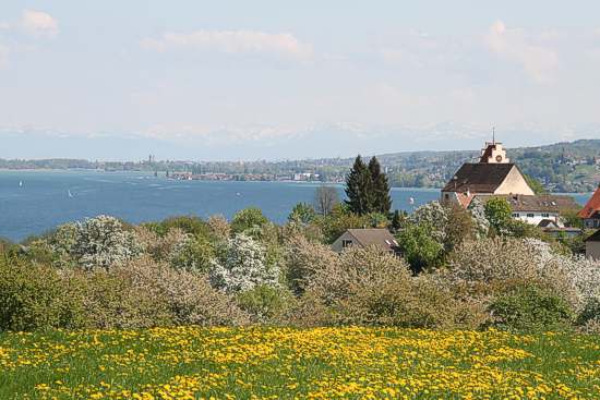 Blick über Horn auf den Untersee