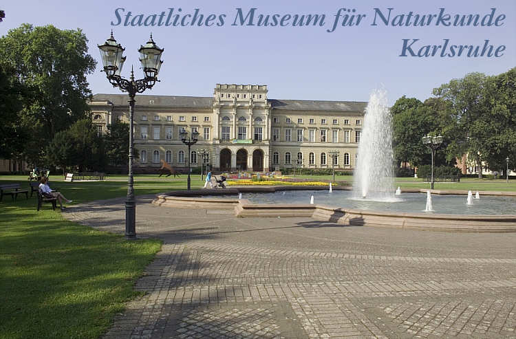 Staatliches Museum f&uuml;r Naturkunde Karlsruhe