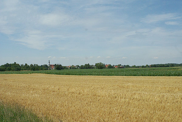 Im Ried bei Meißenheim