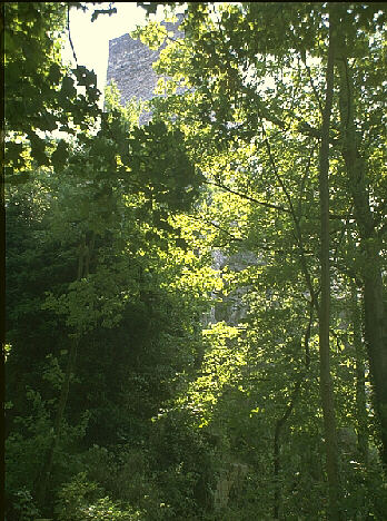 Burg Hohenbaden