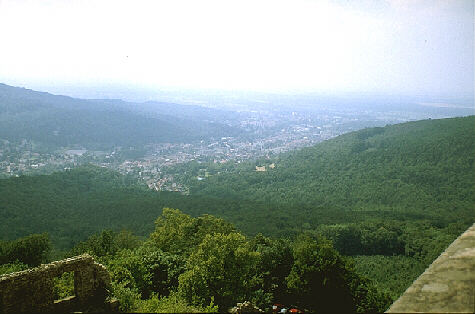 Blick von der Burg in die Rheinebene