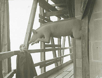 Das Schwein: Unmäßigkeit