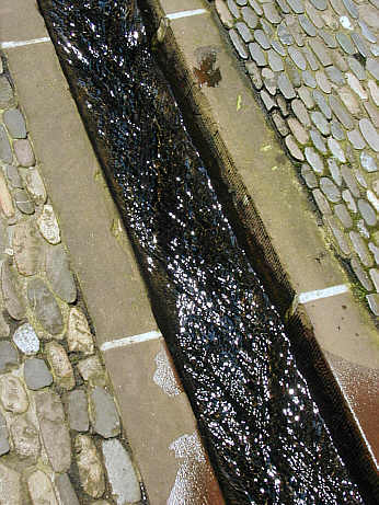 Bächli in Freiburgs Straßen - Nahaufnahme