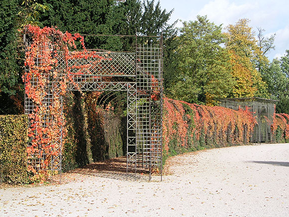 Laubengänge im farbigen Schmuck des Wilden Weins