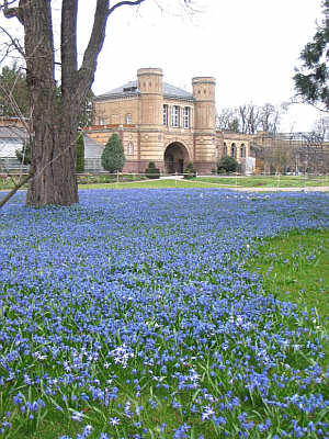 Botanischer Garten Karlsruhe � Staatsanzeiger/SSG 