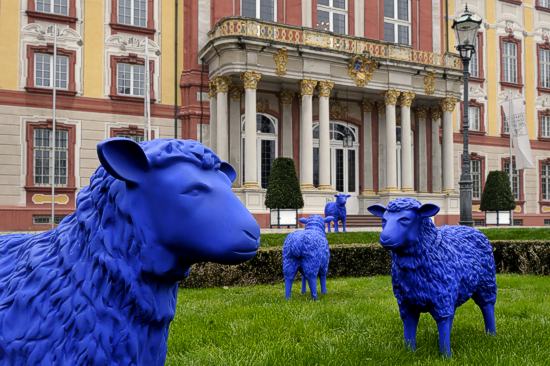 Blauschafe