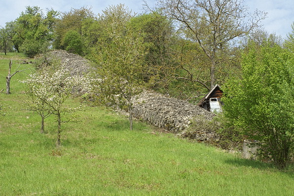 Taubertal: Steinriegel, durch Aufh&auml;ufung von aufgelesener Steine &uuml;ber Jahrhunderte gebildet. Heute ein Natur- und Kulturdenkmal gleicherma&szlig;en