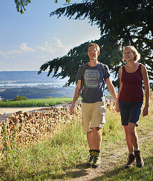Auch die Mühlsberg-Runde lädt zum Wandern mit Panoramablick ein. 