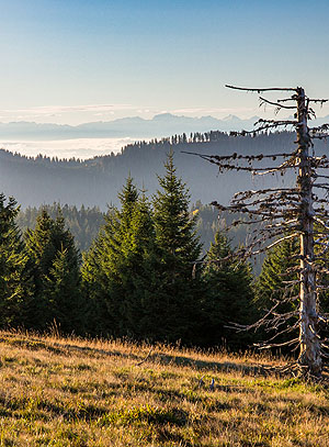 Herbstliche Fernsicht