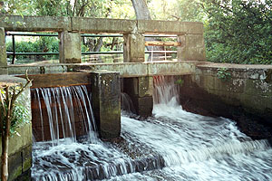 Die Bewässerung der Queichwiesen in der Rheinebene zwischen Landau und Germersheim ist biht nur ökologisch wichtig zur Erhaltung der Lebensräume von Tieren und Pflanzen, sondern auch ein erhaltenswertes Kulturerbe. Foto: unesco/ © Interessensgemeinschaft Queichwiesen