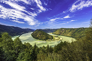 Blick auf die Schlögener Schlinge. Das Grün der Bäume spiegelt sich im breiten Strom, der unbeirrt seinem Weg vom Schwarzwald zum Schwarzen Meer folgt. Die Ufer der Donau sind wie geschaffen zum Radfahren. Bildnachweis: Radweg-Reisen