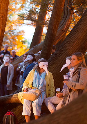 Lange Nacht der Bodenseegärten im Seeburgpark Kreuzlingen. Foto: Gregory Brown