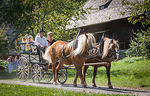 Fahrt mit der Pferdekutsche: Am Osterwochenende gibt es im Freilichtmuseum Vogtsbauernhof ein buntes Programm rund um österliche Symbole und Bräuche. Wer das Museum hoch zu Ross erkunden möchte, kann dies bei einer Fahrt mit der Pferdekutsche tun. Foto: Schwarzwälder Freilichtmuseum Vogtsbauernhof, Hans-Jörg Haas