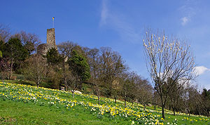 Badenweiler, Kurpark mit stauferzeitlicher Burg. Foto: Badenweiler Thermen und Touristik GmbH