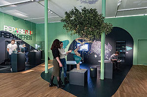 Der Olivenbaum ist aktuell in der Ausstellung "Kann das weg?" zu sehen