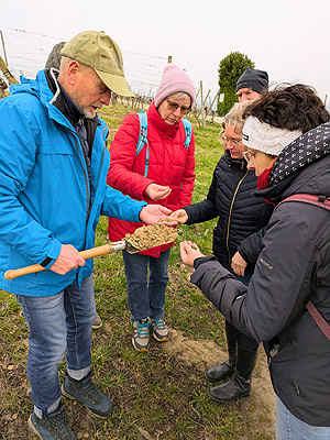 Bei zahlreichen Exkursionen, wie hier auf einem Weinberg im Markgräflerland, lernen die Gästeführerinnen udn Gästeführer allerhand Neues über die Region.