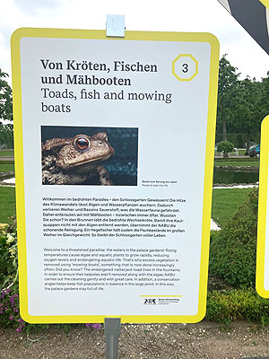 Info-Tafel "Von Kröten, Fischen und Mähbooten" am Springbrunnen im Parterre.