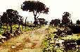 Via Appia1979